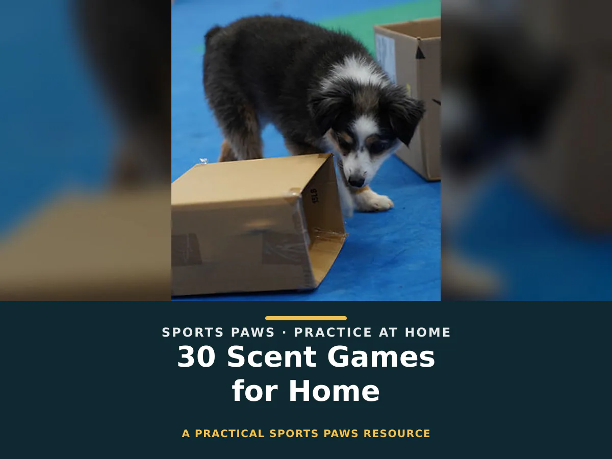 30 Scent Games for Home