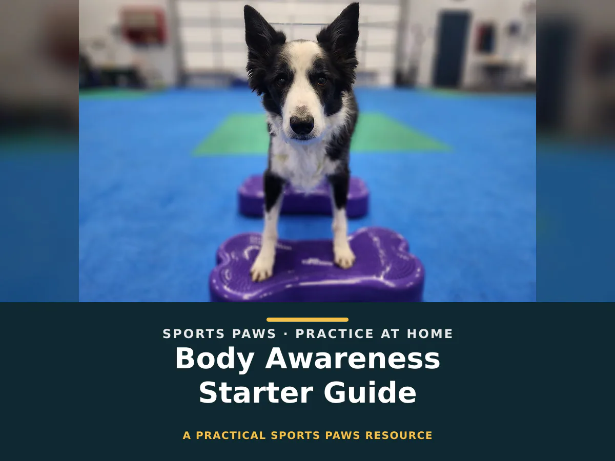 Body Awareness Starter Guide