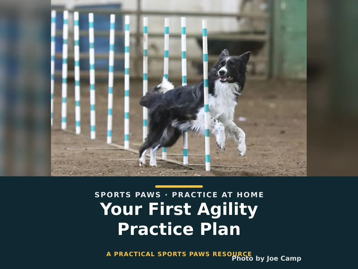 Your First Agility Practice Plan